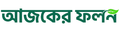 লিচু